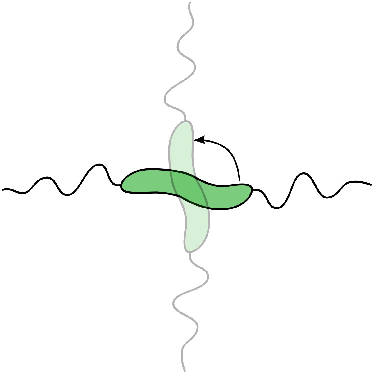 Figure 8