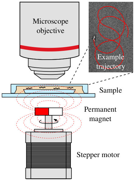 Figure 11