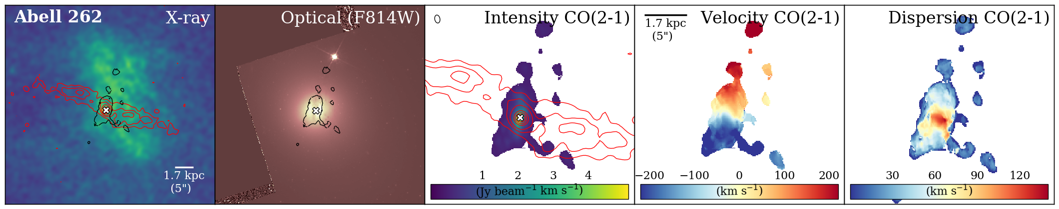Figure 13