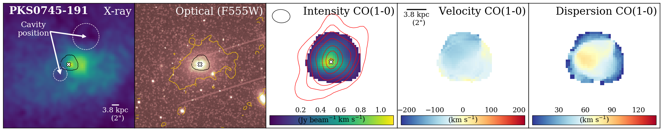 Figure 21