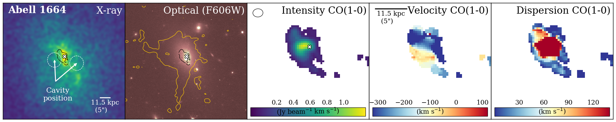 Figure 23