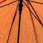 Figure 25