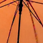 Figure 29