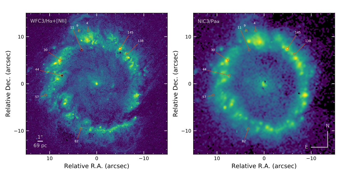 Figure 12