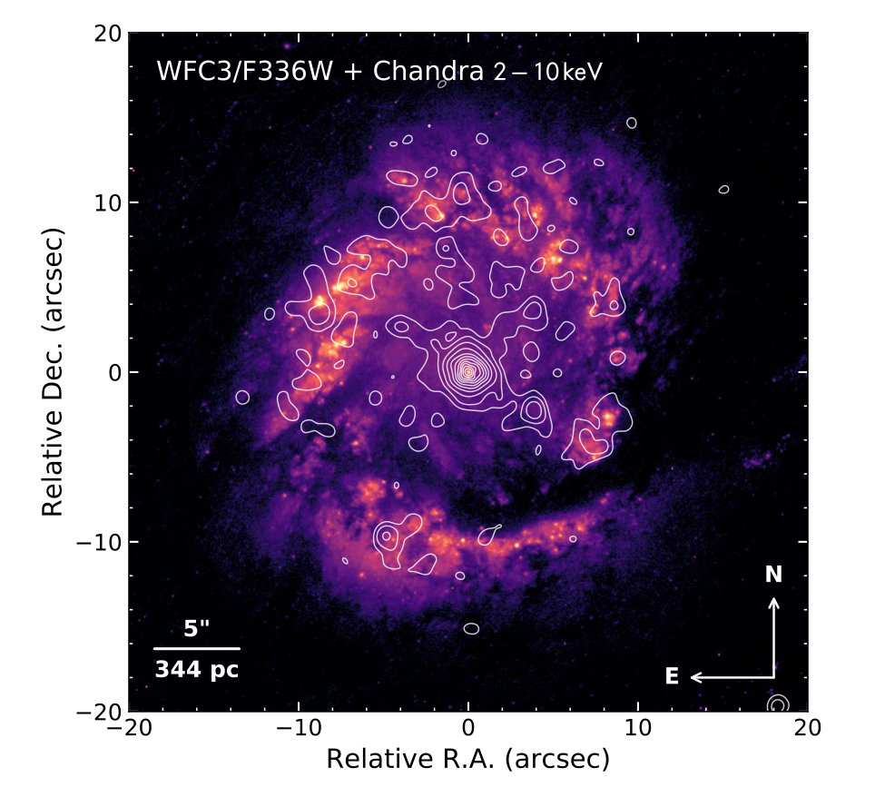 Figure 13