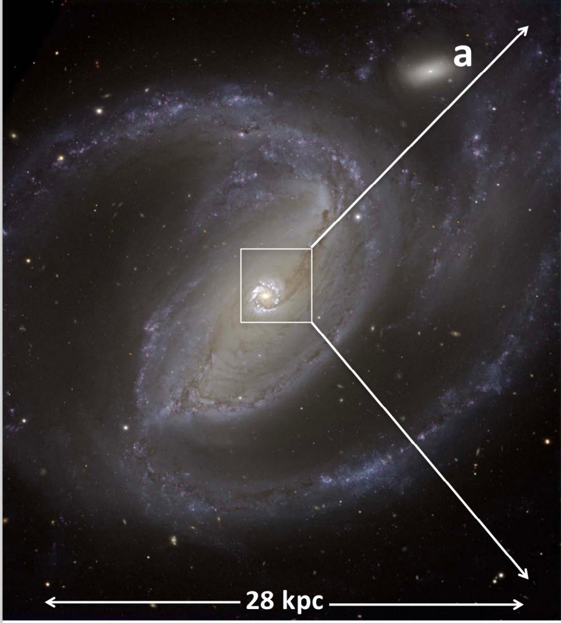 Figure 19