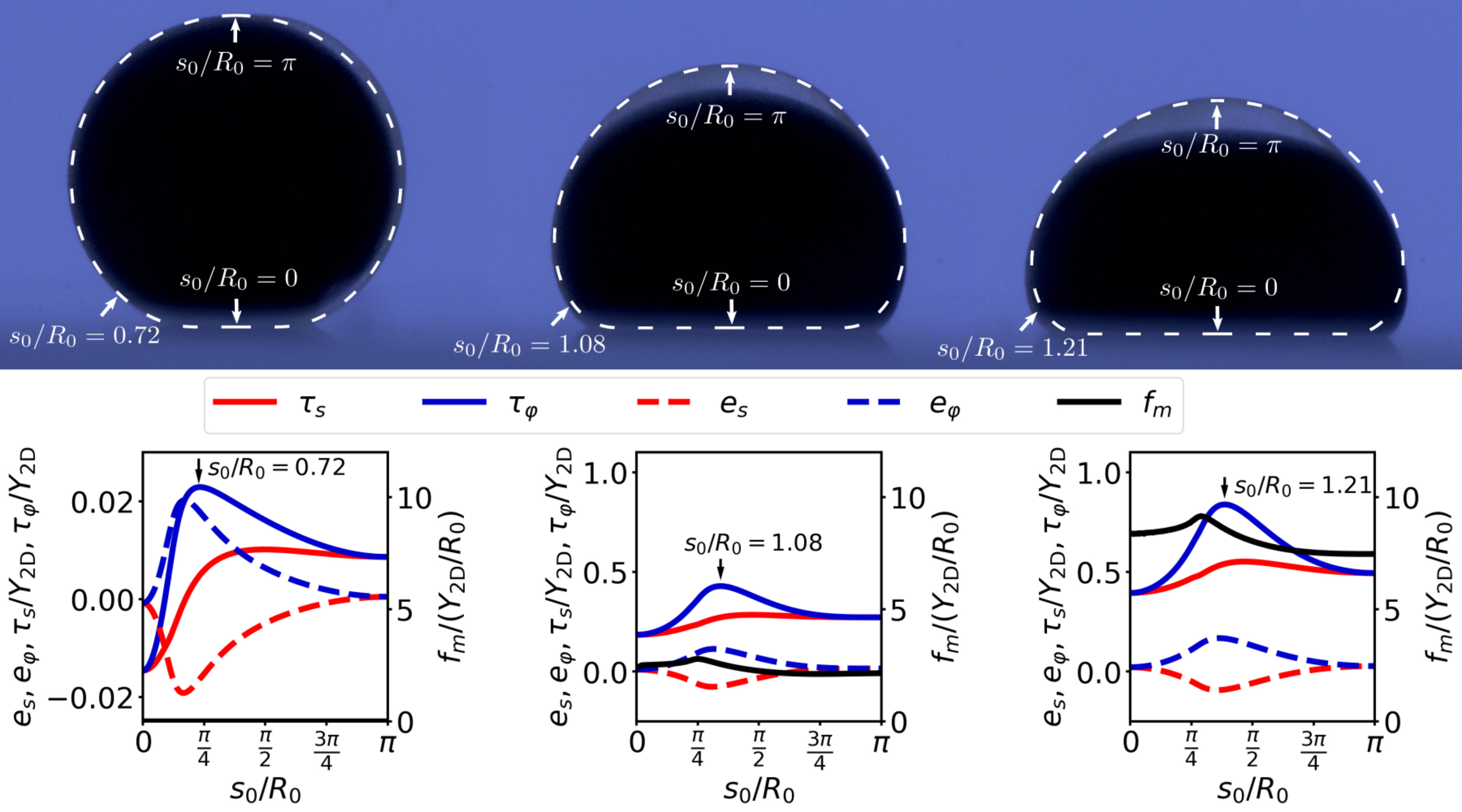Figure 18