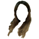 Figure 22