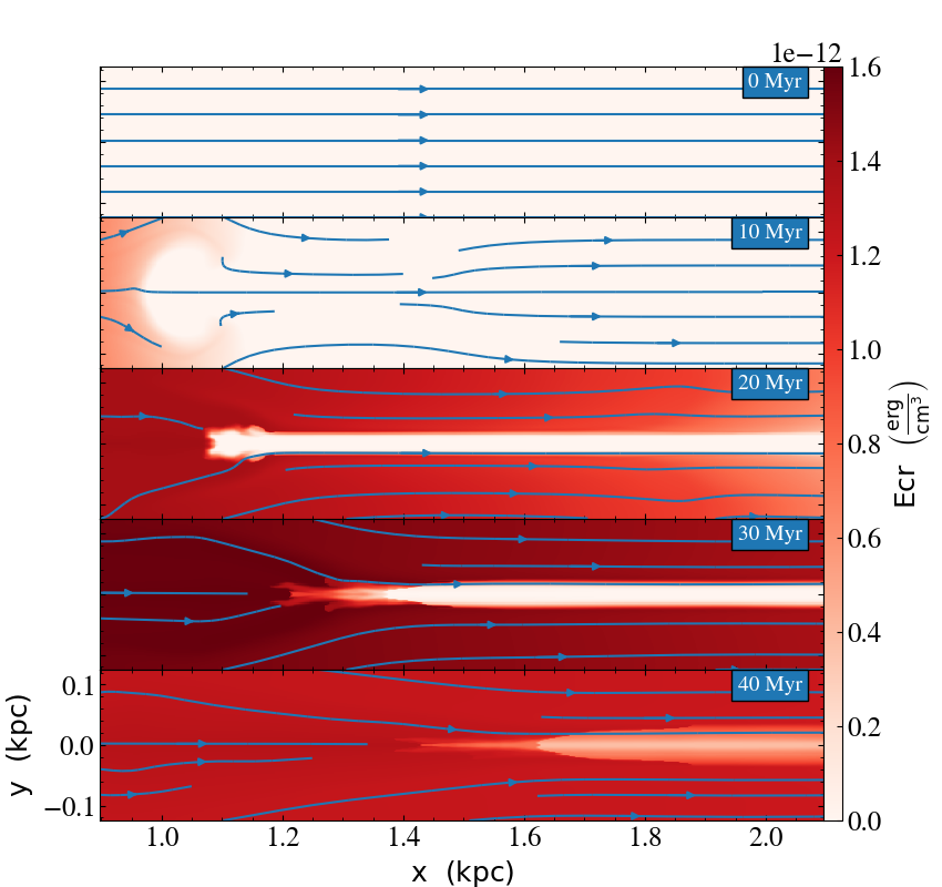 Figure 20