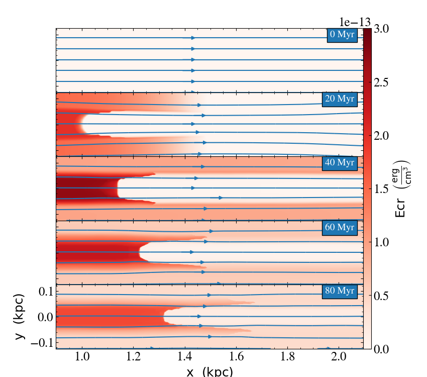 Figure 21