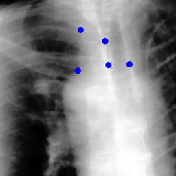 Figure 19