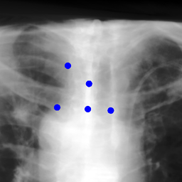 Figure 20