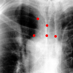 Figure 21