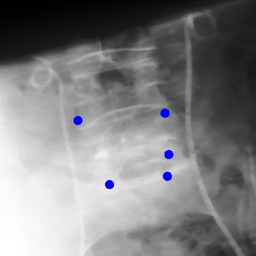 Figure 25