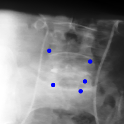 Figure 26