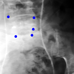 Figure 27