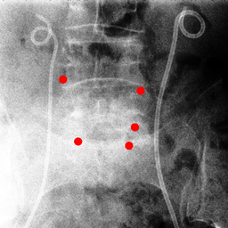 Figure 28