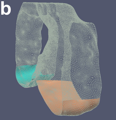 Figure 8