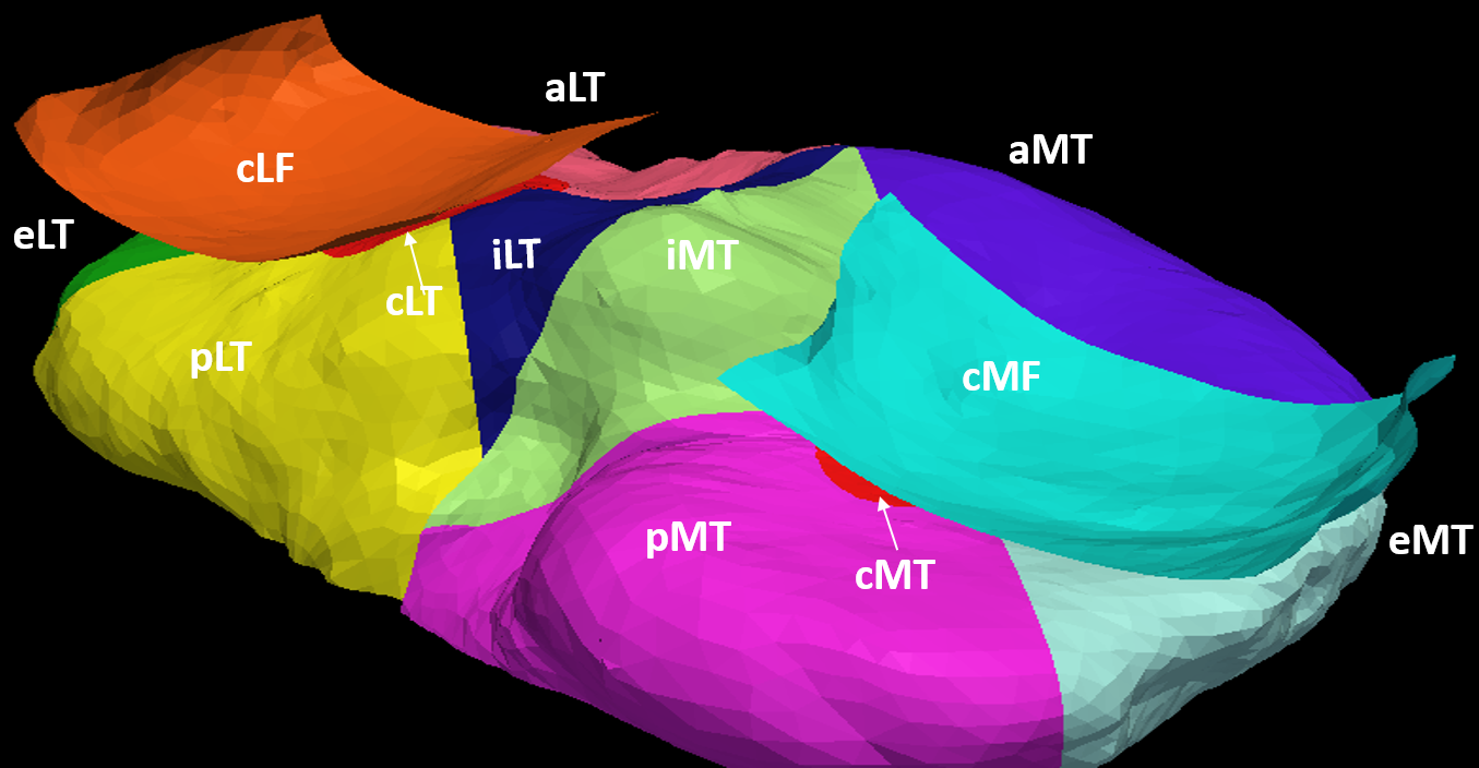 Figure 19