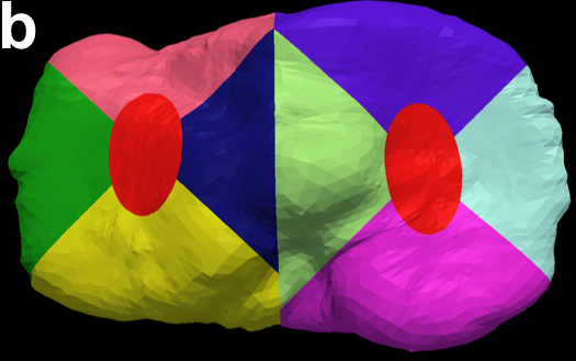 Figure 20
