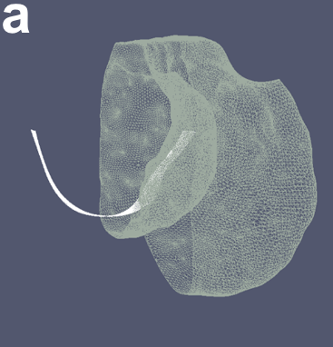 Figure 23