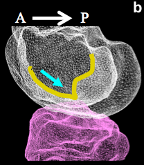 Figure 26