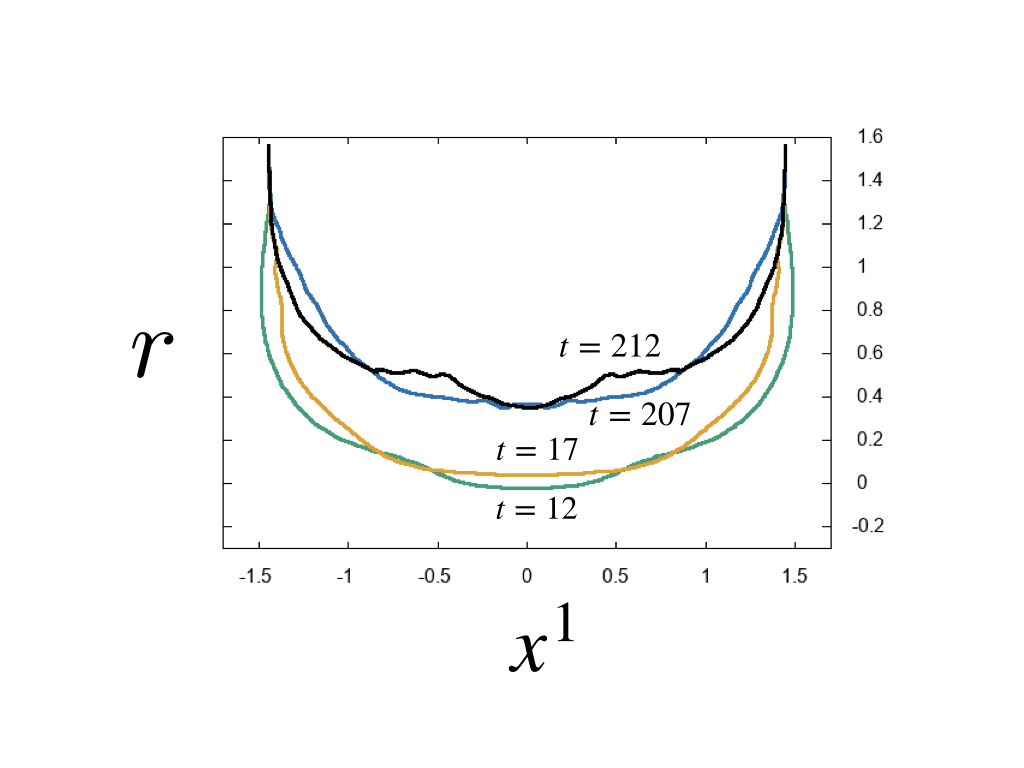 Figure 13