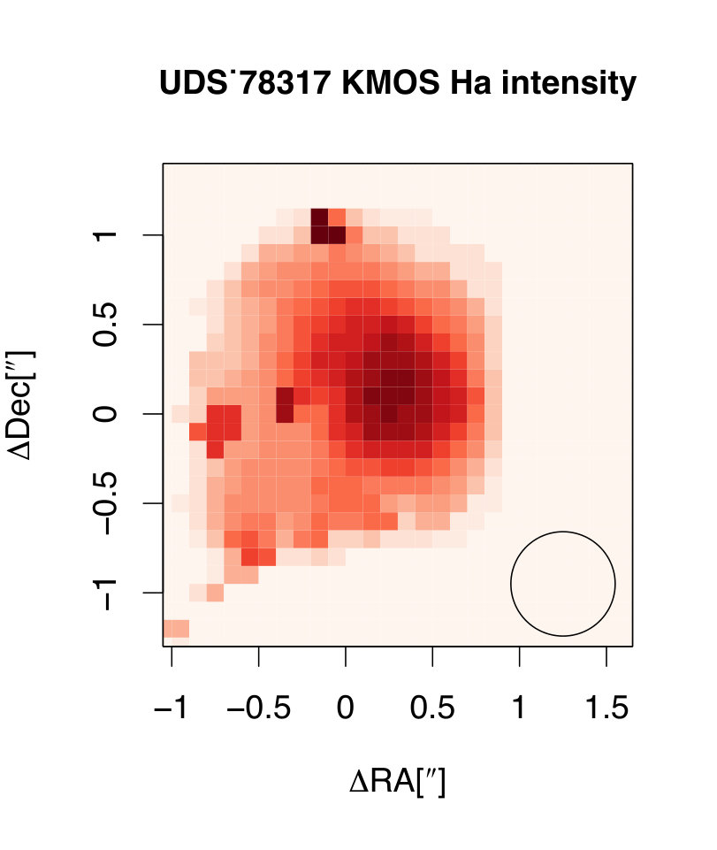Figure 24