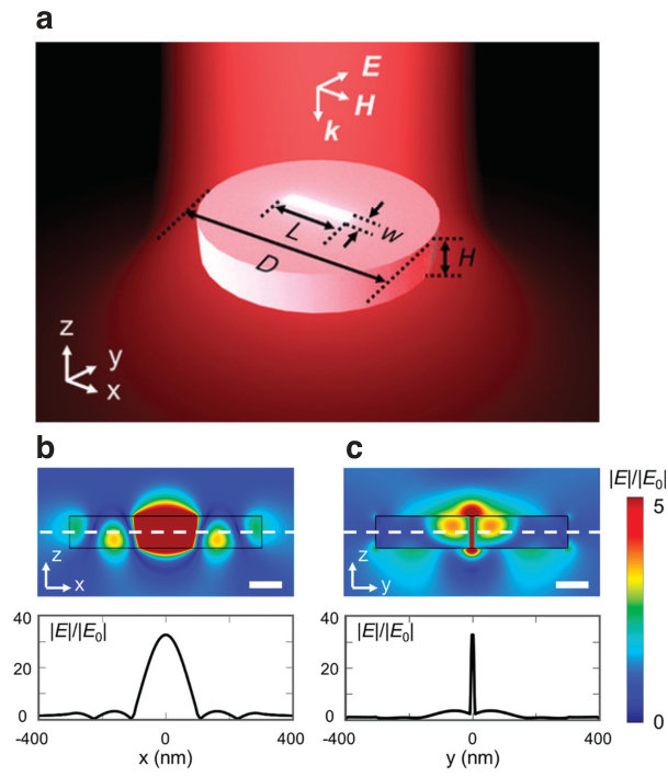 Figure 10