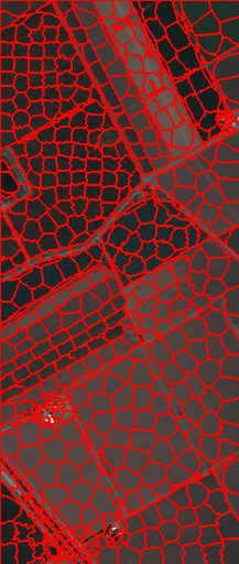 Figure 36
