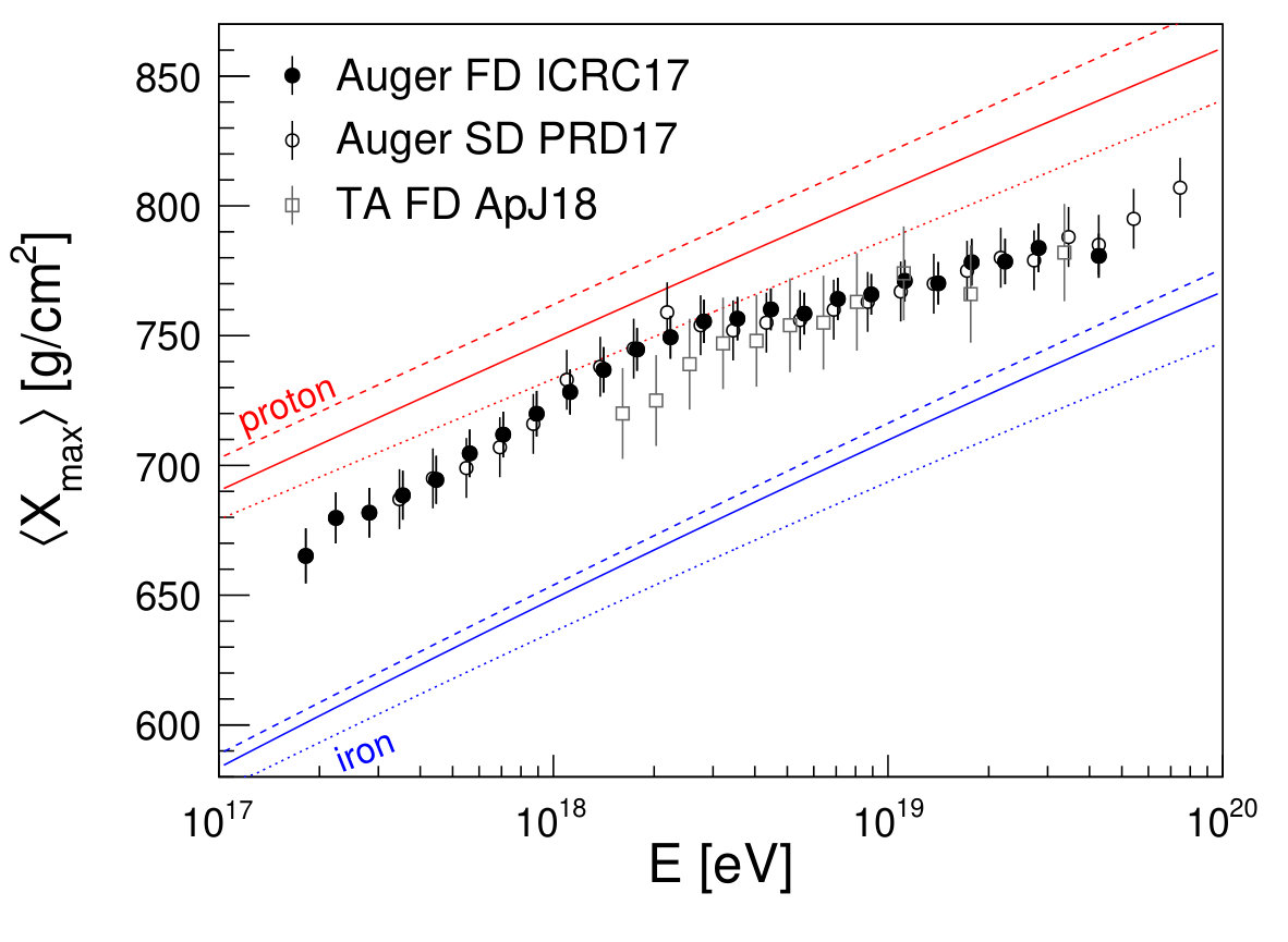 Figure 24