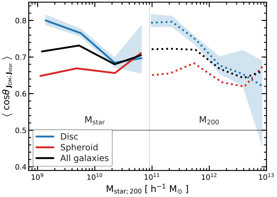 Figure 21