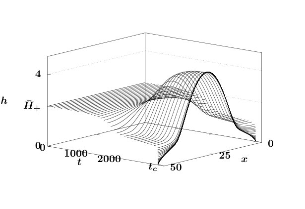 Figure 31