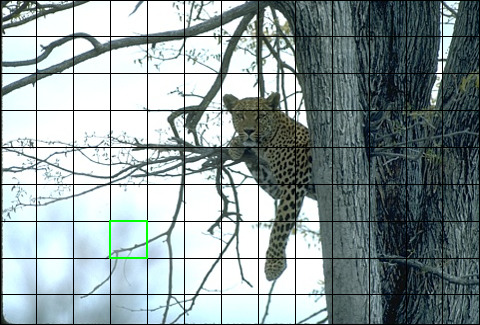 Figure 16