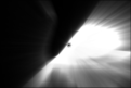 Figure 29