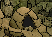 Figure 33