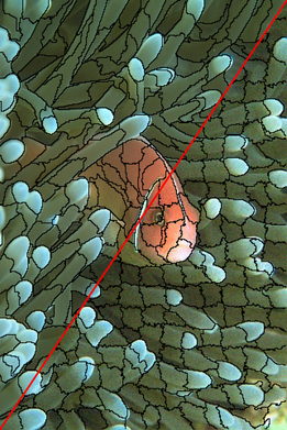 Figure 34