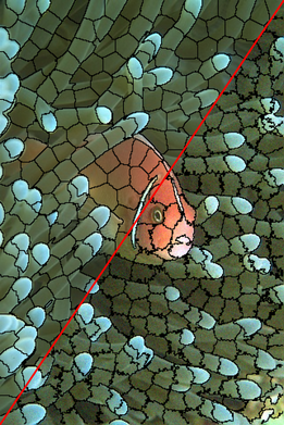 Figure 36