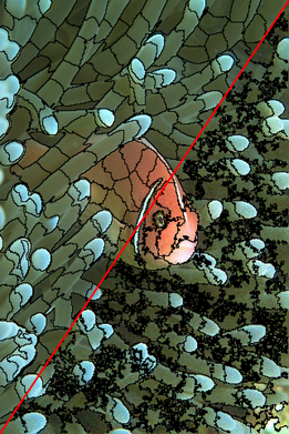Figure 38