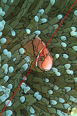Figure 40
