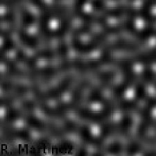 Figure 23
