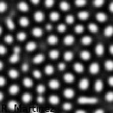 Figure 24