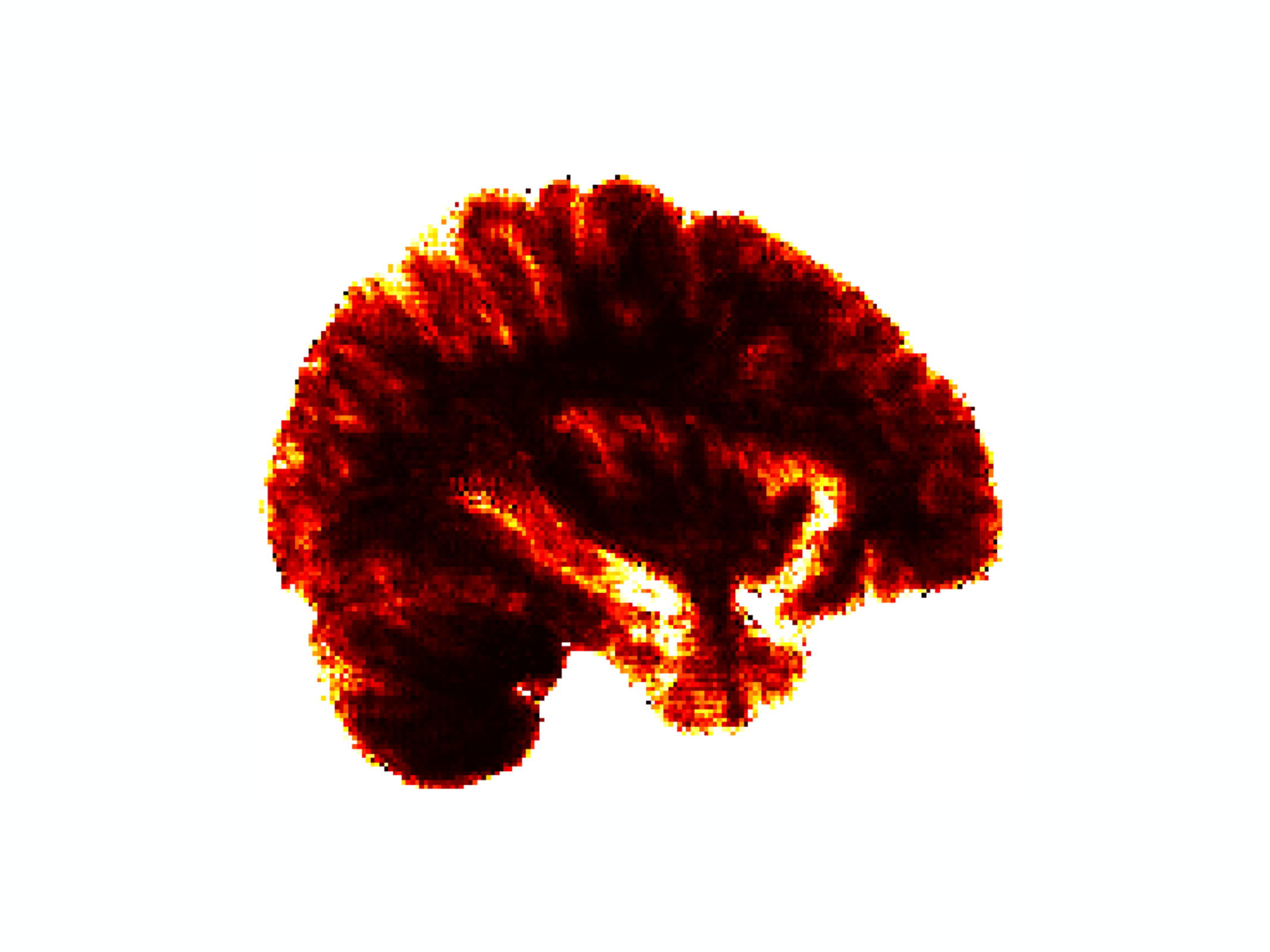 Figure 30