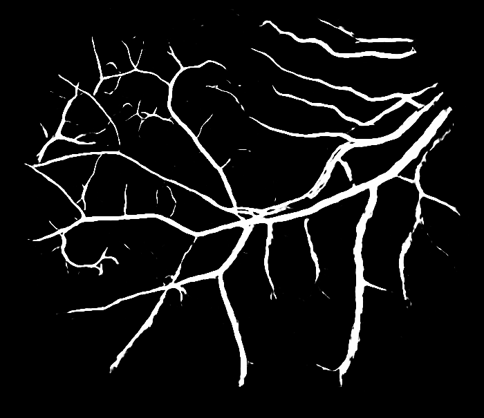 Figure 24