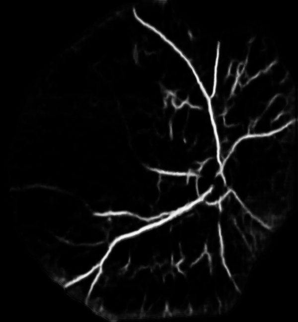 Figure 26