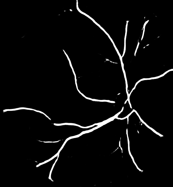 Figure 28