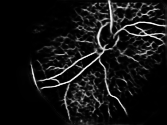 Figure 30