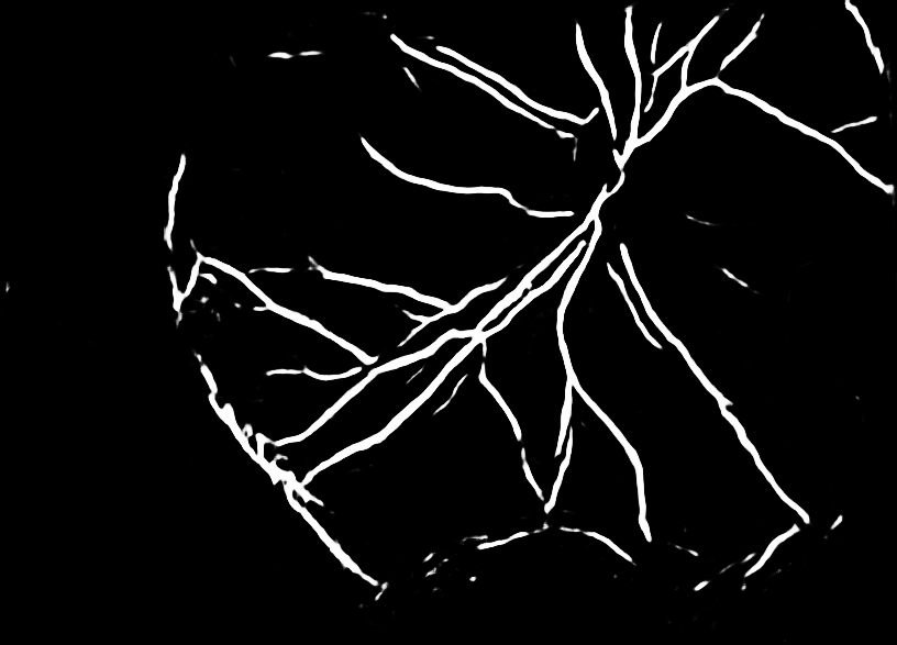 Figure 36