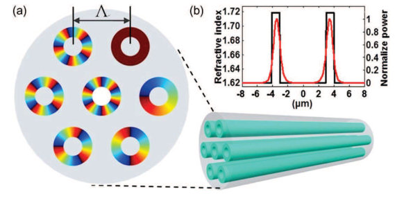 Figure 21