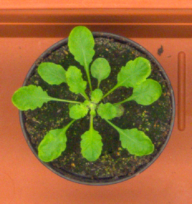 Figure 14